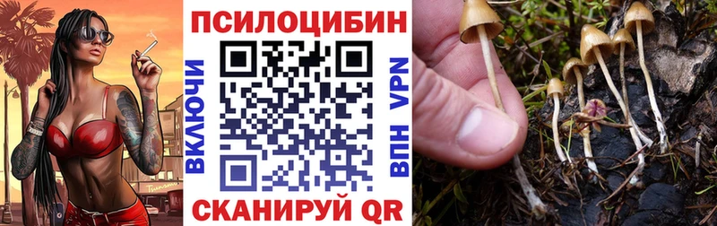 Псилоцибиновые грибы GOLDEN TEACHER  Перевоз 